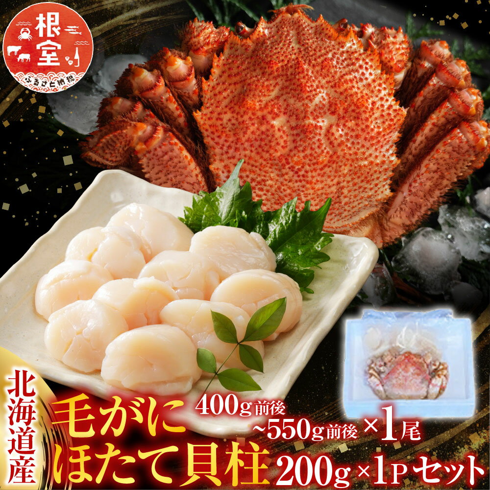 【ふるさと納税】 毛かに 400g 前後 ~ 550g 前後 × 1 尾・ほたて貝柱 200g × 1P セット ホタテ ほたて 帆立 帆立貝柱 ホタテ貝柱 貝柱 毛がに 毛蟹 けがに ケガニ かに カニ 蟹 お取り寄せ グルメ 海鮮 北海道 根室市 C-76034