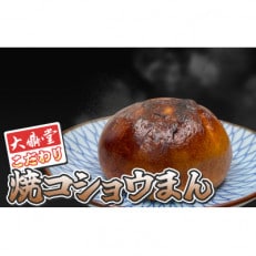 大鼎堂こだわり 焼コショウまん　12個セット(45g×12個)[F4620]