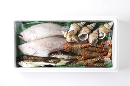 【21002】岩美町旬の魚セットB