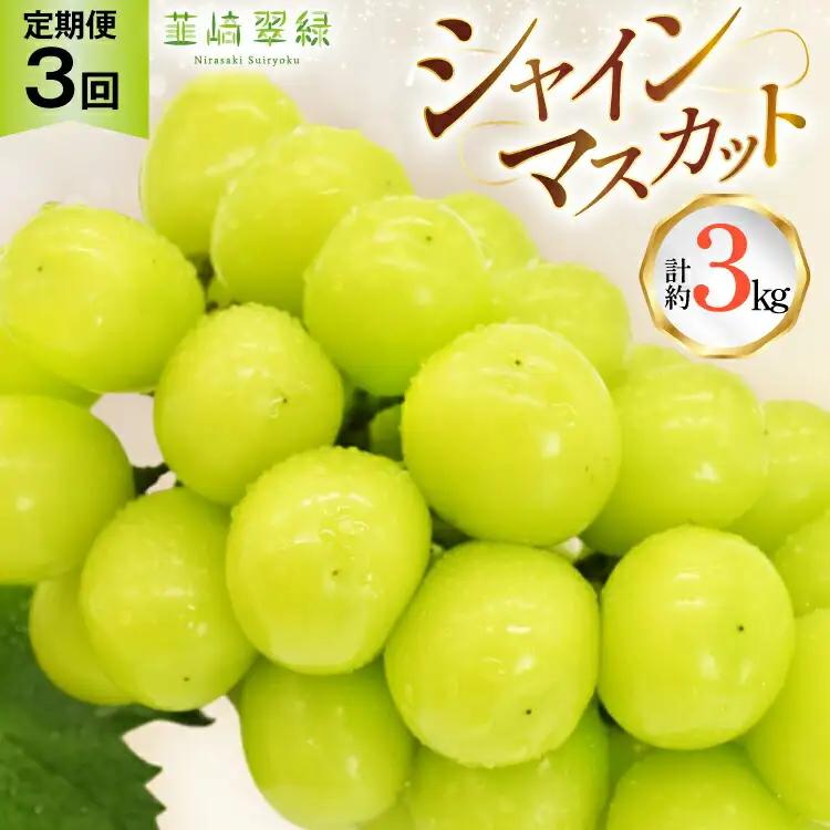 【2026年発送！先行予約！】韮崎翠緑セレクト！シャインマスカット定期便 約1.0kg×3回 NS-1020
