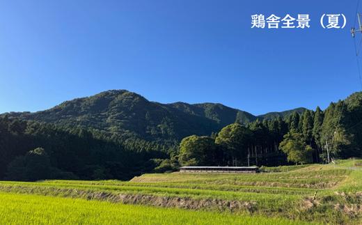BQ3　いまい農場の 平飼い 有精卵　20個　【 赤玉 たまご タマゴ 玉子 平飼い 国産 こだわり 受賞 兵庫県 宍粟市 しそうし】