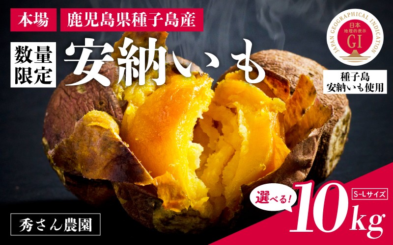 
                   【先行予約】安納いも さつまいも 10kg 【秀さん農園】種子島 焼きいも 焼き芋 本場 安納芋  さつま芋 甘い ねっとり スイーツ おやつ グルメ お取り寄せ おせち 人気 種子島産 返礼品 南種子町 鹿児島 かごしま 【観光物産館トンミー市場】
                