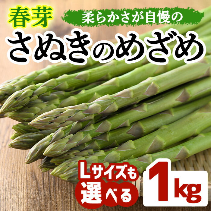 【ふるさと納税】＜期間限定！2026年2月下旬以降順次発送予定＞＜Lサイズも選べる＞春芽！アスパラガス さぬきのめざめ (約1kg/通常サイズ・Lサイズ以上) 野菜 アスパラガス アスパラ 産地直送 新鮮 冷蔵便 【man116・man117】【Aglio nero】