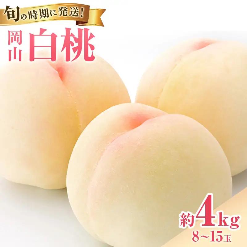 白桃 秀品 大玉 岡山県産 白桃【約4kg 8～15玉】【先行予約】