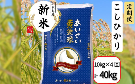 【定期便4回】 令和6年産 新米 定期便 あいさい黄金米 計40kg 10kg×4回  胚芽白米 徳島県 コシヒカリ お米 こめ おこめ こしひかり 白米 精米 国産 ごはん 12kg 18kg 30kg 40kg