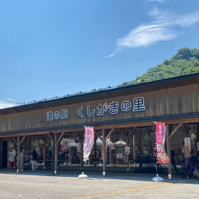 桃先行受付!　【川中島白桃】大玉特秀品　食べきりやすい3個入り　こだわり農家厳選!【配送不可地域：離島】