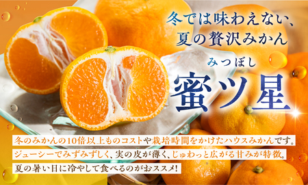 ≪先行予約≫ 濃厚ハウスみかん『蜜ツ星』秀品 1.2kg（Ｌサイズ10玉）