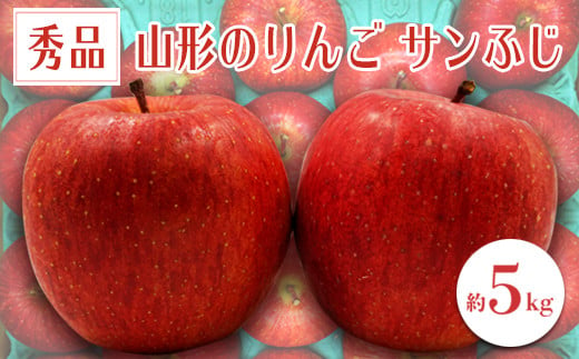 【2024年11月～12月発送分先行受付】「秀品」山形のりんご（サンふじ）約5kg_H081(R6)