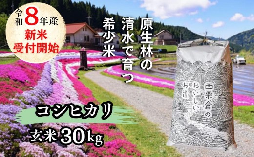 《先行予約 2026年10月発送》玄米 30kg 令和8年産 コシヒカリ 岡山 「おおがや 芝桜米」 G-ad-AFCA