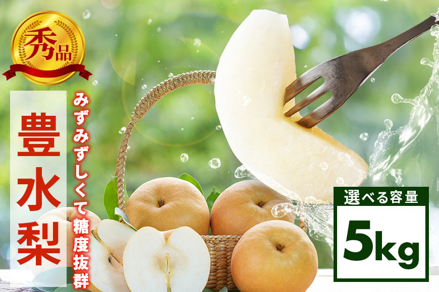 
            【先行販売/9月上旬から発送】 豊水 梨 秀 5kg 8～14個入 (アカツファーム)  ナシ なし 豊水梨 ギフト 贈答用 秀品 産地 茨城  笠間  完熟 甘い 秋 旬 果物 フルーツ 果汁 新鮮 デザート くだもの ジューシー 秋の味覚 旬の果物 産地直送 茨城県 笠間市
          