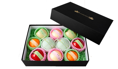 【 大阪甘泉堂 】ふるーつぜりー10個入_OS237-0005