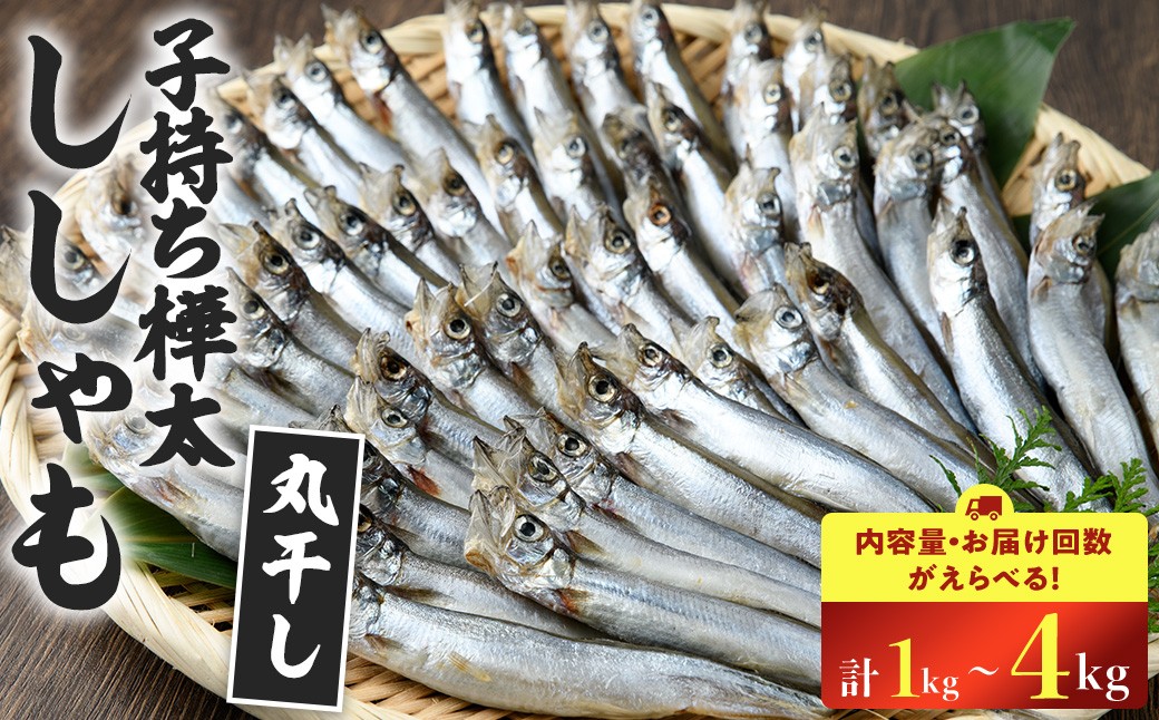 
                  ＜内容量・お届け回数が選べる＞ 子持ち樺太ししゃも丸干し (計1～4kg) 干物 ししゃも シシャモ 揚げ物 フライ 惣菜 お惣菜 魚 焼き魚 海鮮 魚介 【opbp006・opbp007・opbp005】【ヤマジン】
                