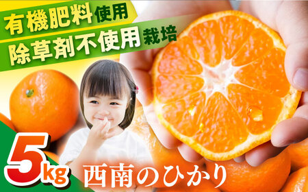 【先行予約】【約5kg】西南のひかり 蜜柑 ミカン みかん 果物 みかん 柑橘 みかん フルーツ 横須賀【志村農園】 [AKGH005-2]