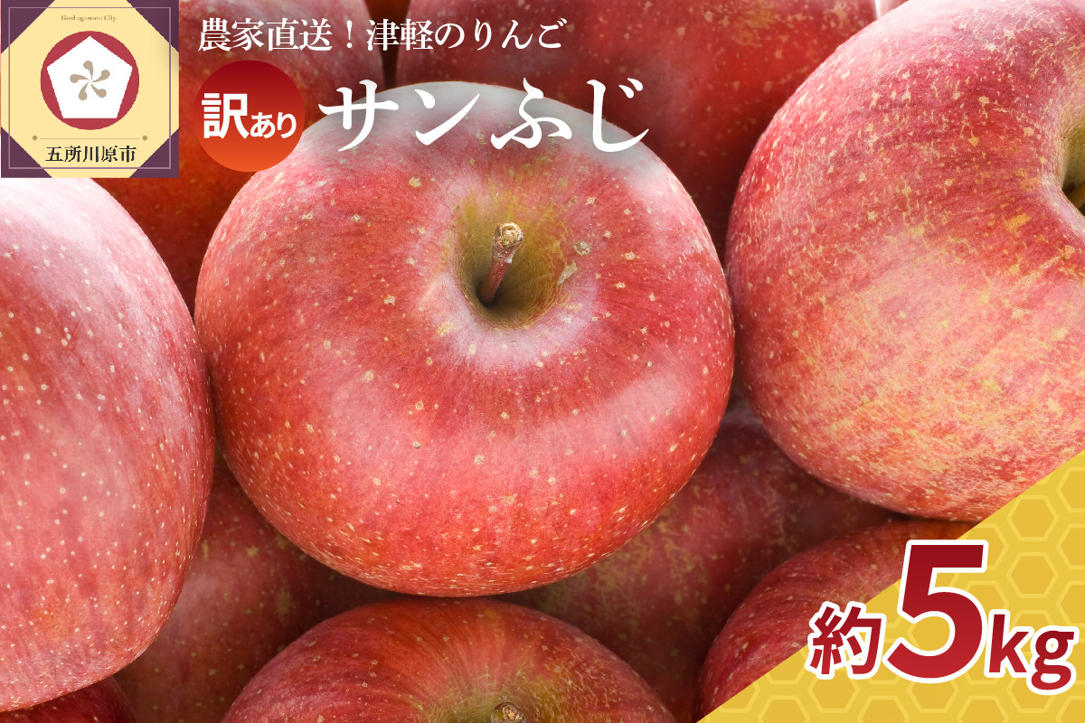 
【2024年12月～2025年1月 発送】りんご 訳あり 5kg 青森 【選べる配送時期】 サンふじ
