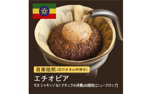 
                  自家焙煎コーヒー！ #123 310g モカ シャキッソ G-1 ナチュラル ニュークロップ 珈琲（豆または中挽きから選択）
                
