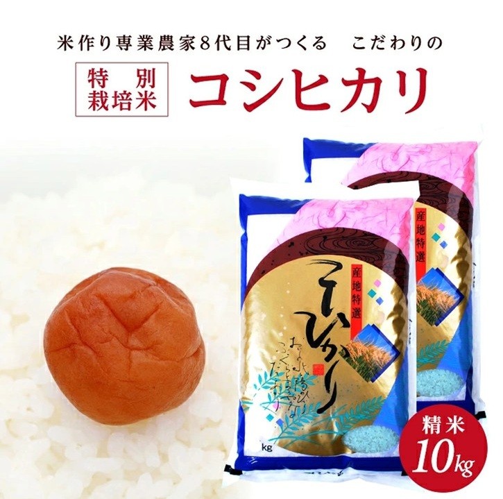 
                  【令和8年産 新米】［精米］特別栽培米 コシヒカリ　10kg(5kg×2袋)「農家直送」 KA SB1043
                