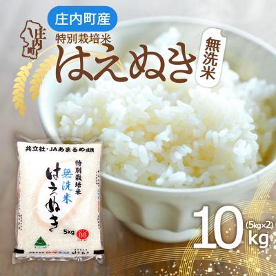 ふるさと納税 庄内町 庄内町産 特別栽培米はえぬき無洗米 10kg 5kg×2袋 令和7年産 2025年産 ブランド米