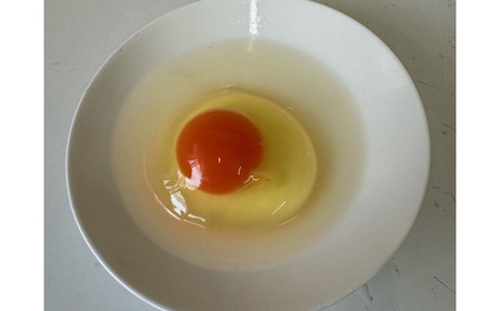 No.421 彩美卵　寿　10個