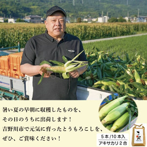 とうもろこし 米 セット ゴールドラッシュ 5本 約 2kg コメ 2合 お米 アキサカリ ごはん 先行予約 えがおセット トウモロコシ コーン スイートコーン 甘い とうもろこしご飯 レシピ付き 期