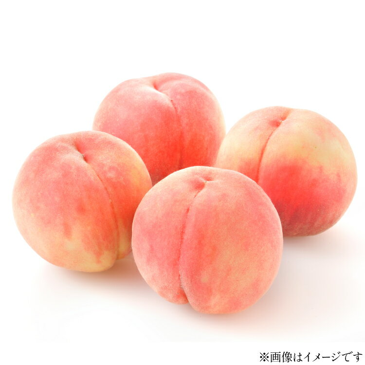 【ふるさと納税】【期間限定発送】 高畠町産 桃 6〜10玉 3kg [tk06ays870023 山形県 高畠町 JA山形おきたま] 桃 もも モモ フルーツ くだもの 果物