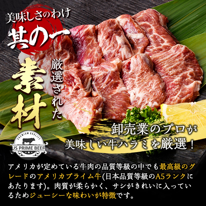 プライム牛 塩ハラミ(計600g) 小分け 牛肉 肉 ハラミ 牛はらみ 味付け 焼肉 塩 BBQ 冷凍 大分県 佐伯市【DH296】【(株)ネクサ】
