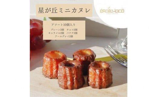 【星が丘ミニカヌレ アソートセット10個入り】フランスの焼き菓子 スイーツ 美味しい おすすめ 冷凍 愛知県 人気 高級