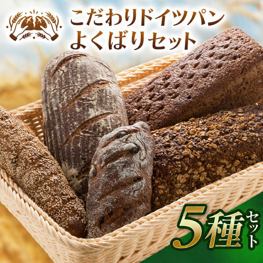 【ふるさと納税】自家製サワー種使用のこだわりドイツパンのよくばり5種セット | 高栄養 ミネラル 必須アミノ酸 低カロリー 本格的 静岡県 伊豆の国市