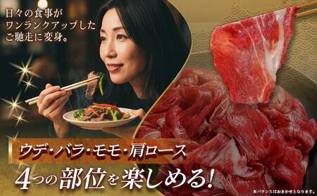 宮崎牛切り落とし【小分け】200g×3_12-J704_(都城市) 宮崎県産 宮崎牛 ウデ バラ モモ 肩ロースが混在 小分けパック