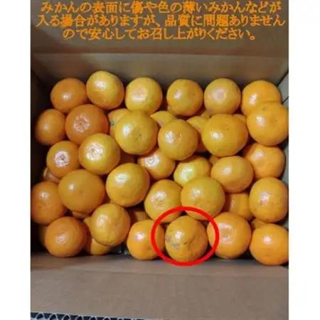 〈先行受付〉有田・庄助みかん約3kg(家庭用品・サイズ混合)【1588754】