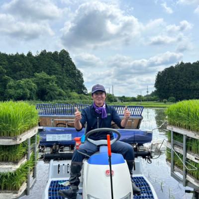 ふるさと納税 日光市 こしひかり玄米5kg　日光ダイヤ舞　栽培期間中農薬不使用1年目　◆お米◆美味しい◆玄米 |  | 01