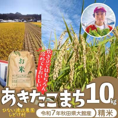 ふるさと納税 大館市 【令和7年産】渡辺農園の「あきたこまち」精米10kg(10kg×1袋)