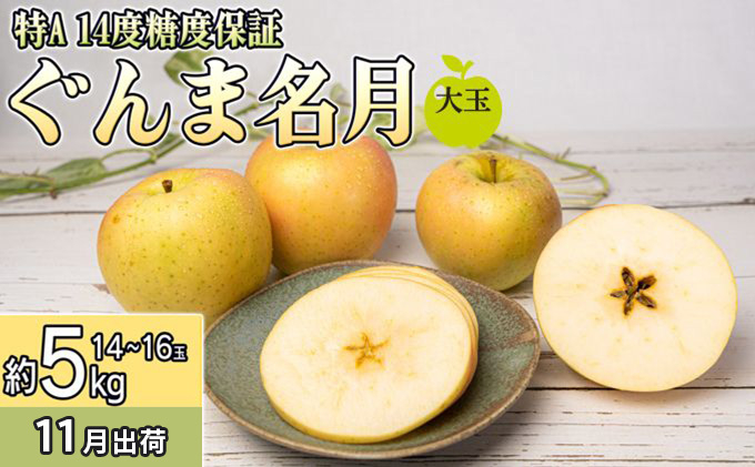 
            11月 特A ぐんま名月約5kg（12～18個）14度糖度保証【青森りんご・ゆうきアップル・11月】 果物類 フルーツ 果物 
          