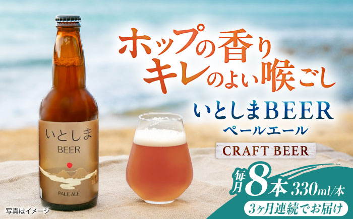 
            【全3回定期便】いとしまBEER (ペールエール) 330ml×8本 糸島市 / 蔵屋 クラフトビール [AUA053]
          