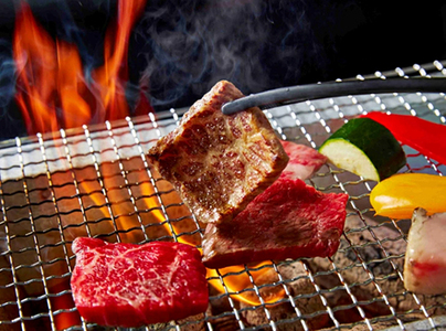 近江牛 ロース焼肉用【450g】【A4A5等級 】 未経産雌限定【FO67U】