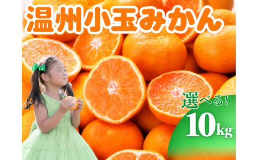 ≪先行予約≫ 温州小玉みかん ご家庭用 10kg わけあり  10キロ みかん ミカン 蜜柑 mikan 柑橘 旬 フルーツ 果物 愛知県 豊橋市  20000円  国産 豊橋産 愛知県 豊橋市 みかん みかん みかん みかん みかん みかん みかん