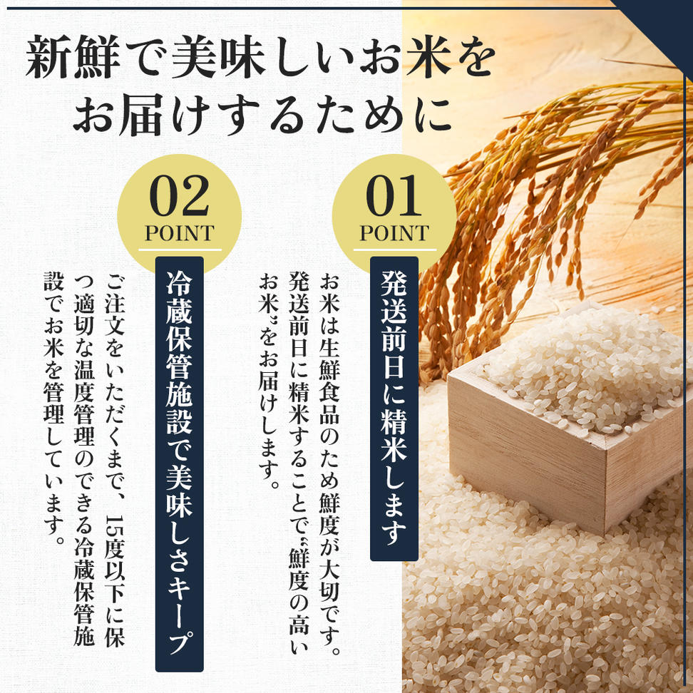 【先行予約】令和8年産 定期便 コシヒカリ特別栽培 精米 5kg