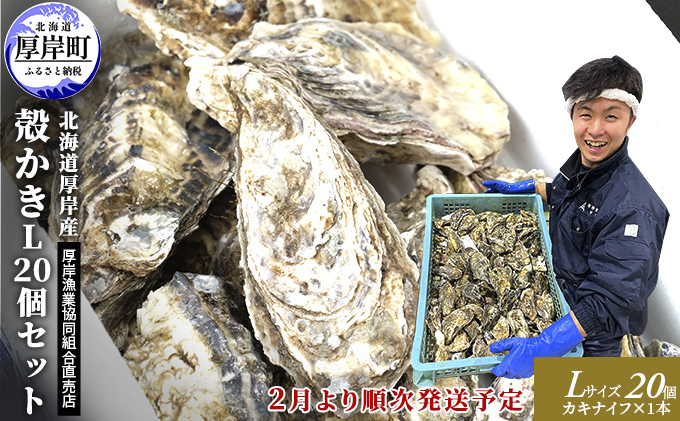 2026年2月発送 厚岸産 殻かき L20個セット 魚貝類 海鮮 海の幸