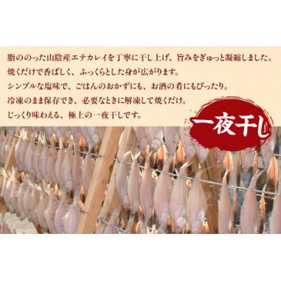 ふるさと納税 香美町 山陰名産エテカレイ一夜干し 6枚 |  | 02