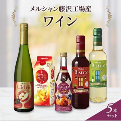 ふるさと納税 藤沢市 お楽しみワインと梅酒・果実酒　5本セット　メルシャン藤沢工場醸造　〜神奈川県　藤沢市〜