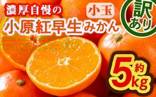 ＜先行予約！2025年11月下旬以降順次発送予定＞＜訳あり・家庭用＞＜選べるサイズ＞香川県産 小原紅早生みかん (約5kg・小玉)  【man088・man089】【Aglio nero】