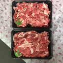 【ふるさと納税】飛騨牛 肉 切り落とし 1kg 和牛 国産 冷凍 大容量 不揃い たっぷり