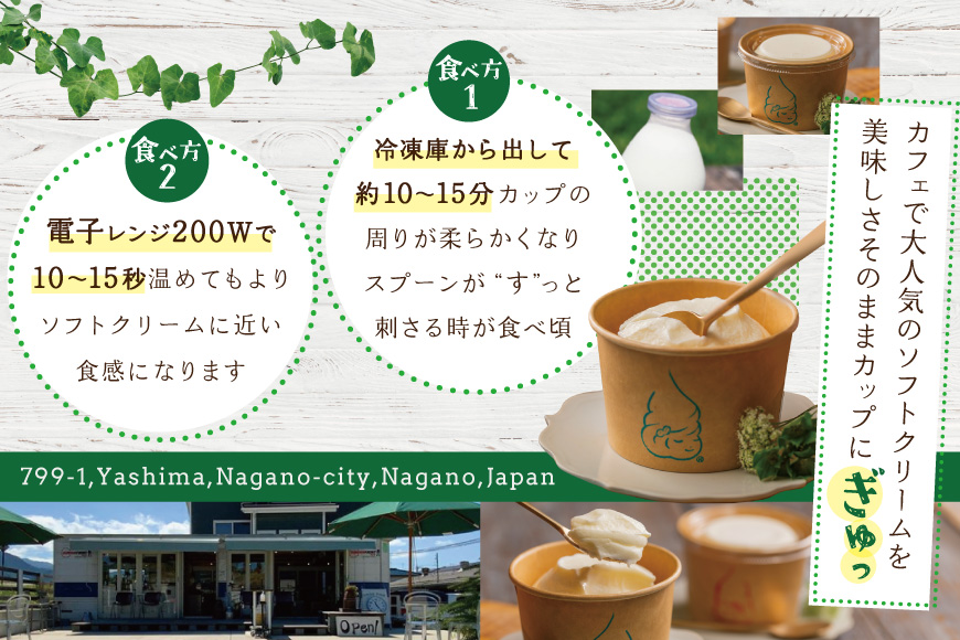 北海道 別海町産 生乳 100% で作った ソフトクリーム カチカチ君 6個 セット　GT0000001