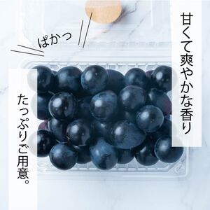 【2026年8月中旬頃から順次発送】 ぶどう ナガノパープル 2kg バラ粒 500g 4パック | 松山市産ぶどう 小分け ぐれーぷ 新着 人気 フルーツ 種なしぶどう ギフト用ぶどう くだもの 美