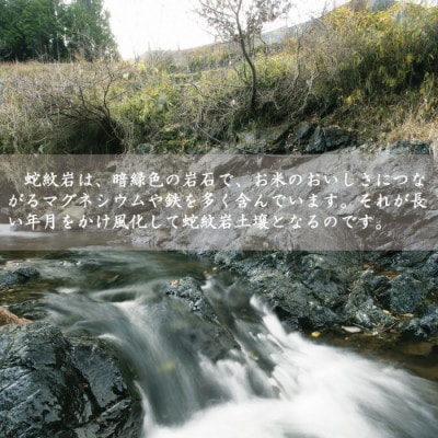 7年産新米予約 特別栽培米 兵庫県但馬産コシヒカリ 蛇紋岩米 5kg【1623531】