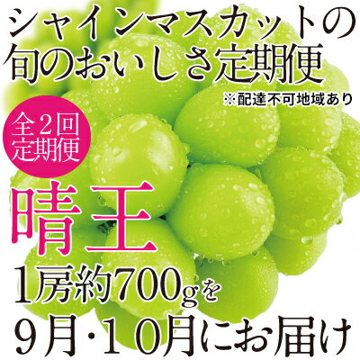 【ふるさと納税】ぶどう 2025年 先行予約 9月・10月発送 シャイン マスカット 晴王 1房 約700g ブドウ 葡萄 岡山県産 国産 フルーツ 果物 ギフト 　お届け：2026年9月上旬～2026年10月下旬