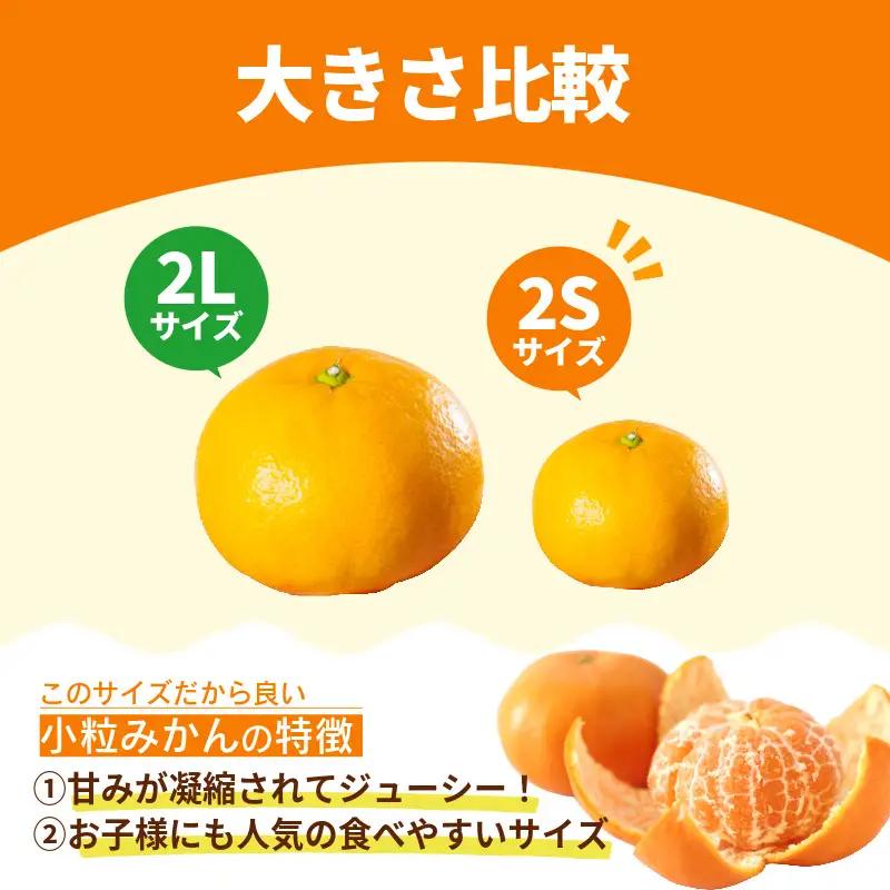 【2026年11月10日から発送】甘さ凝縮！濃蜜小粒 みかん 5kg 2S以下 小松島市