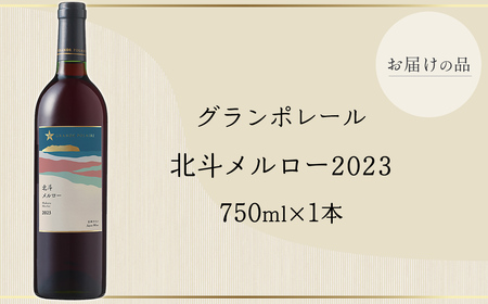 グランポレール　北斗メルロー2023 【 ふるさと納税 人気 おすすめ ランキング ワイン わいん 赤ワイン ライト メルロー サッポロビール 葡萄 ぶどう お酒 ギフト 贈答 贈り物 プレゼント お