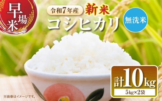 2週間以内に発送 無洗米 令和7年産 新米 コシヒカリ 計10kg 米 期間限定 宮崎県産 お米 ご飯 ライス 国産 人気 食品 精米 白米 こしひかり おにぎり お弁当 炊き込みご飯 雑炊 ギフト 贈り物 お取り寄せ 産地直送 宮崎県 日南市 送料無料_FA12-25