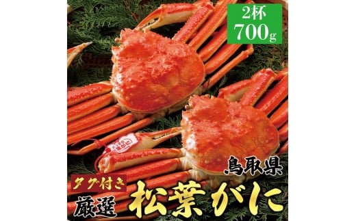 764.【ボイル】≪2025年12月～2026年1月発送≫ 特撰 松葉がに【ブランドタグ付き】（700g超×2杯）【ブランド 蟹 タグ付き 生 ナマ かに 松葉ガニ 松葉蟹 訳あり カニ味噌 みそ 家庭用 鳥取県産 北栄町 おすすめ 人気】