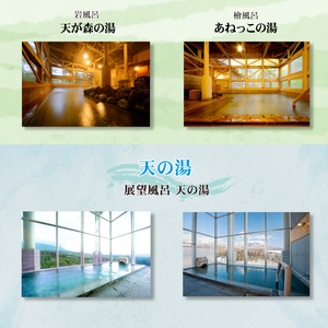 南網張ありね温泉 ゆこたんの森 日帰り御膳プラン 1名様 ／ 日帰り旅行 温泉
